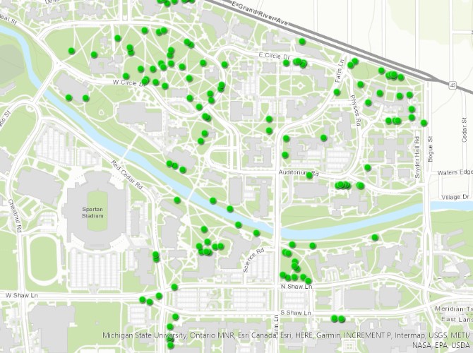 Students learn from, appreciate fall leaf change on campus College of
